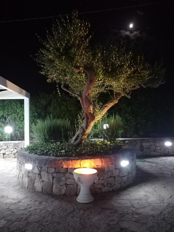 アルベロベッロ Trullo Monte Del Saleゲストハウス エクステリア 写真
