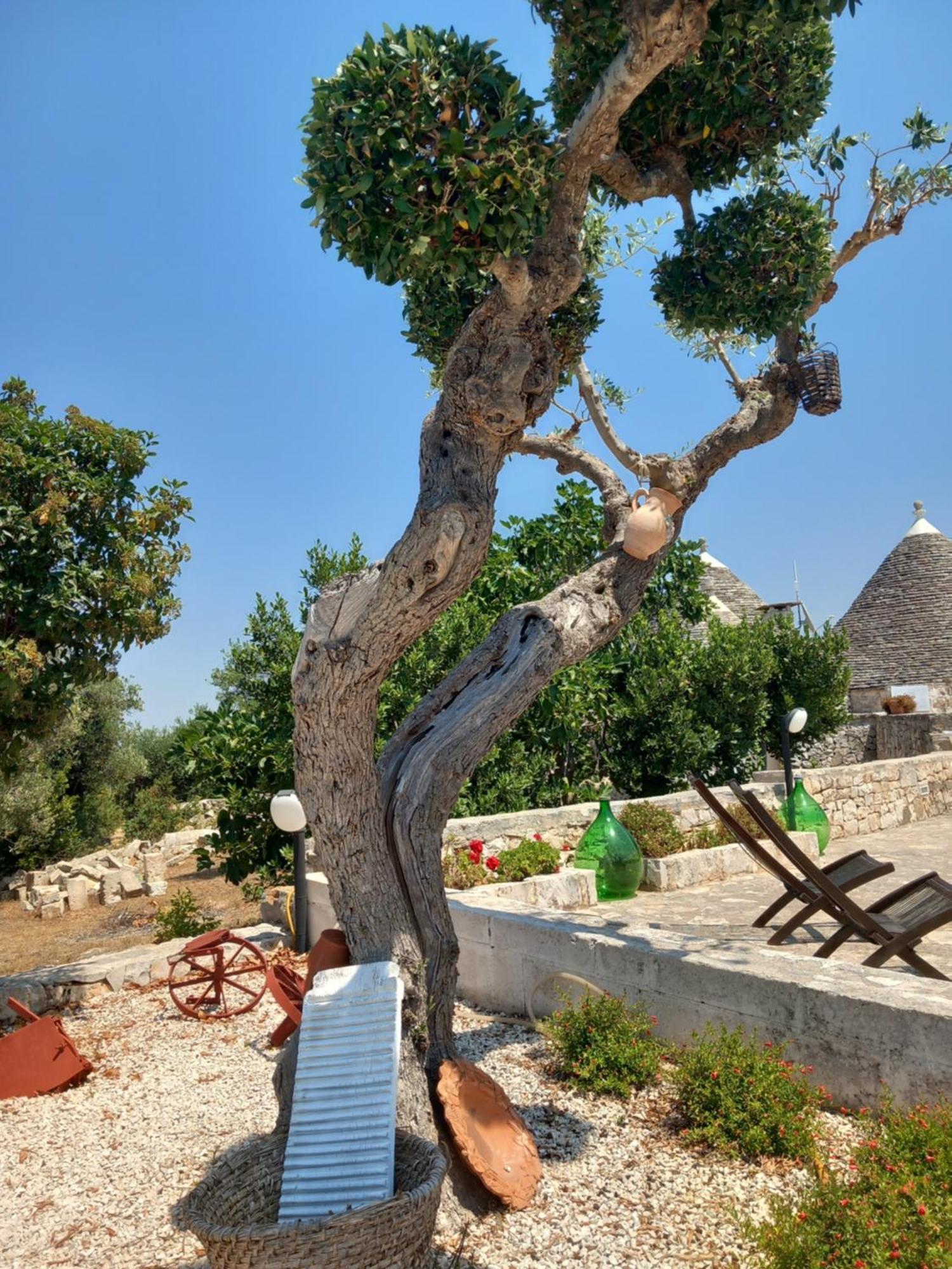 アルベロベッロ Trullo Monte Del Saleゲストハウス エクステリア 写真