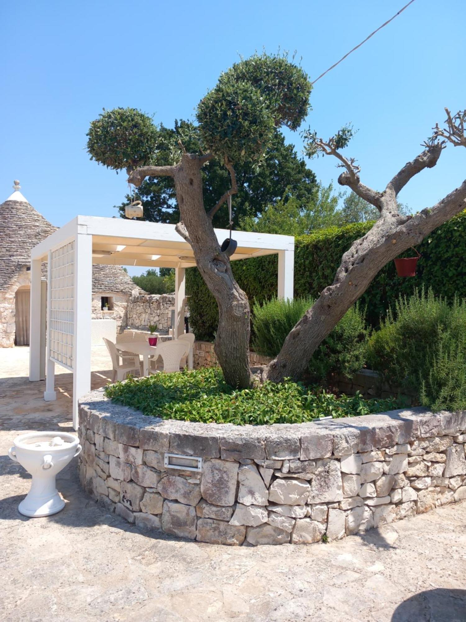 アルベロベッロ Trullo Monte Del Saleゲストハウス エクステリア 写真