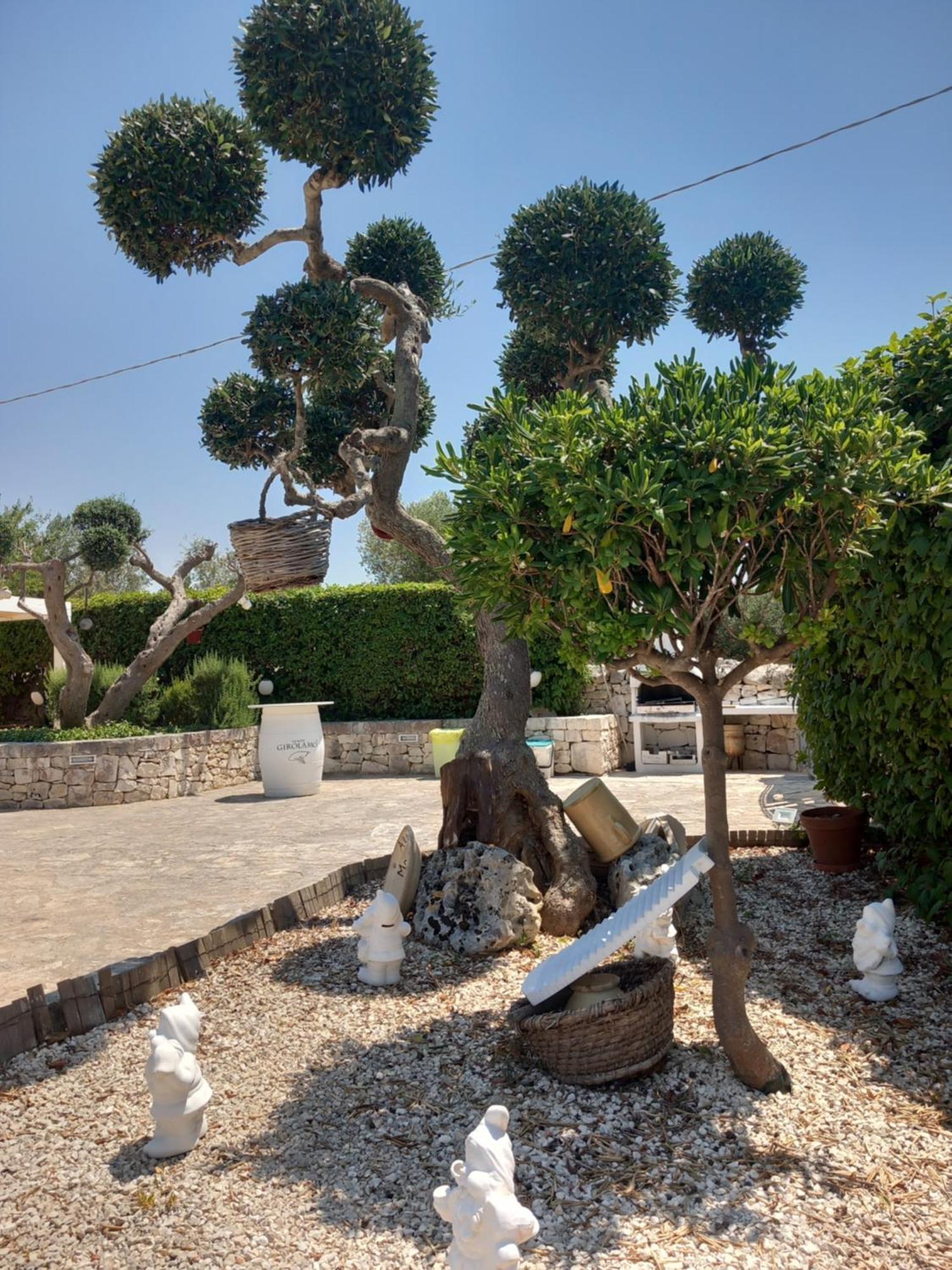 アルベロベッロ Trullo Monte Del Saleゲストハウス エクステリア 写真