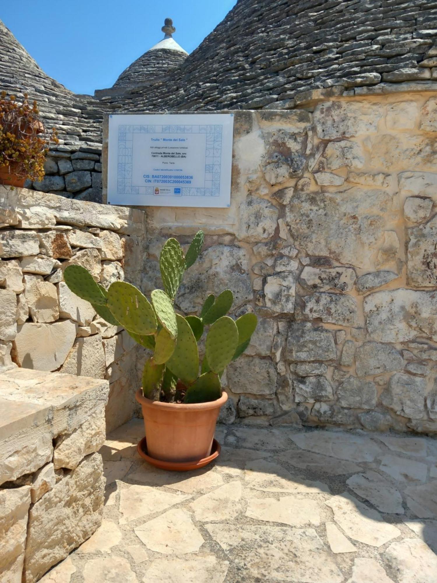 アルベロベッロ Trullo Monte Del Saleゲストハウス エクステリア 写真