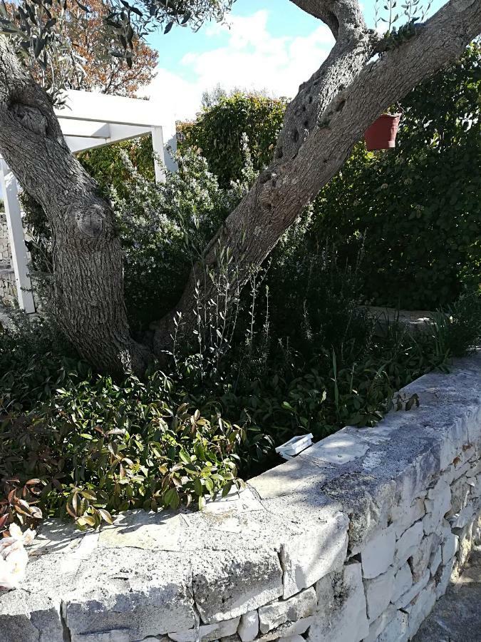 アルベロベッロ Trullo Monte Del Saleゲストハウス エクステリア 写真