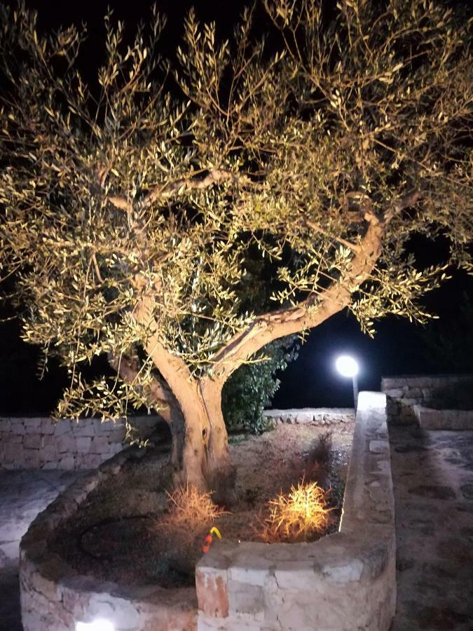 アルベロベッロ Trullo Monte Del Saleゲストハウス エクステリア 写真