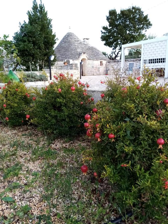 アルベロベッロ Trullo Monte Del Saleゲストハウス エクステリア 写真